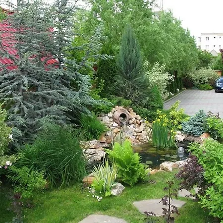 Hotel Oasis