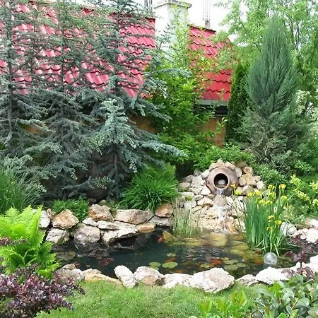 Oasis Brasov