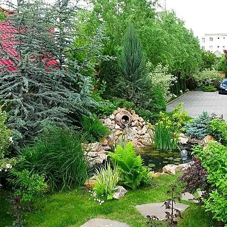 Oasis 3*