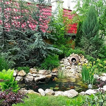 Oasis Μπρασόβ